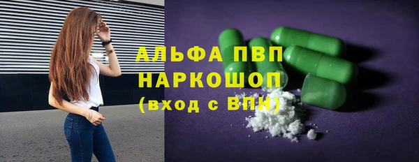 мет Алексин