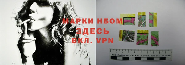 гашик Алзамай