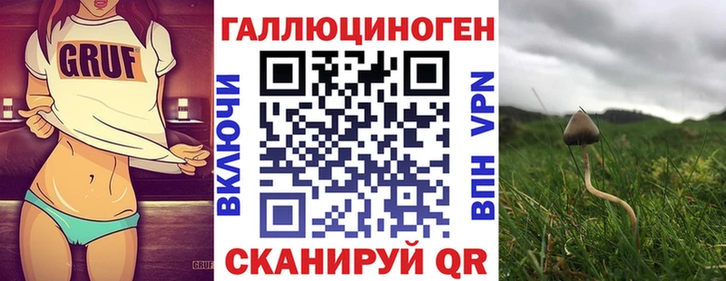 купить наркотик  Углич  Галлюциногенные грибы мицелий 
