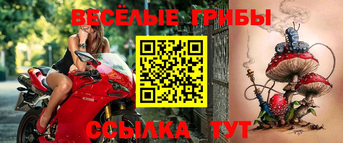 Галлюциногенные грибы Cubensis  Вход с VPN  даркнет сайт  Углич 